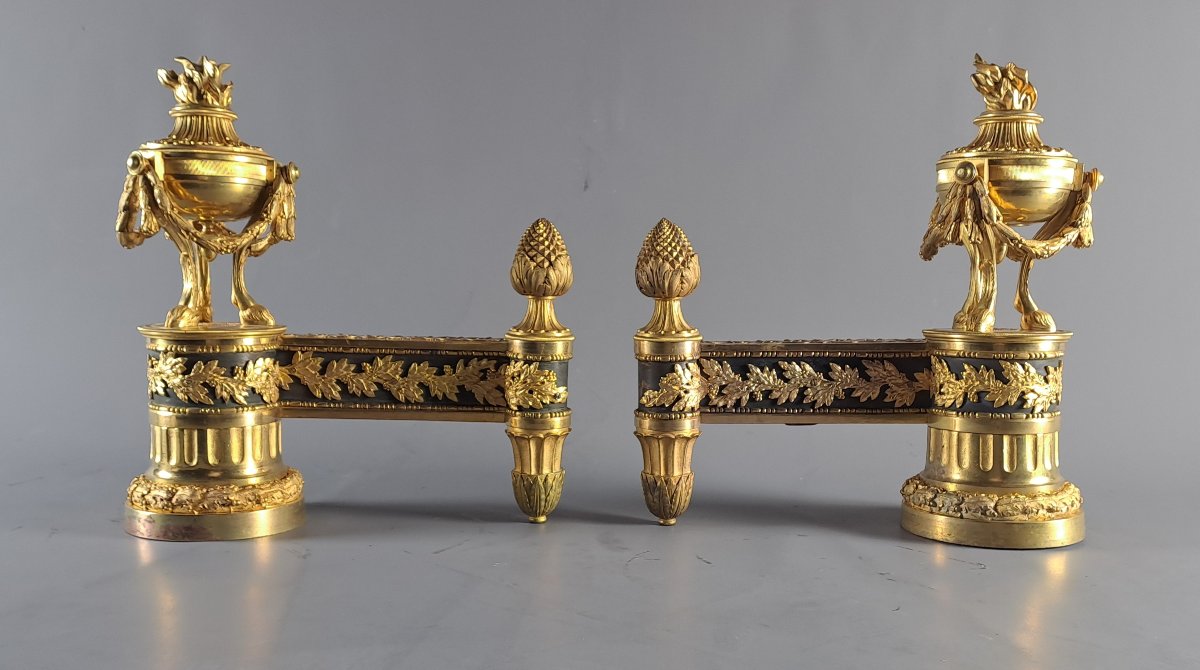 Pair Of Louis XVI Ormolu And Patinated Andirons-photo-2