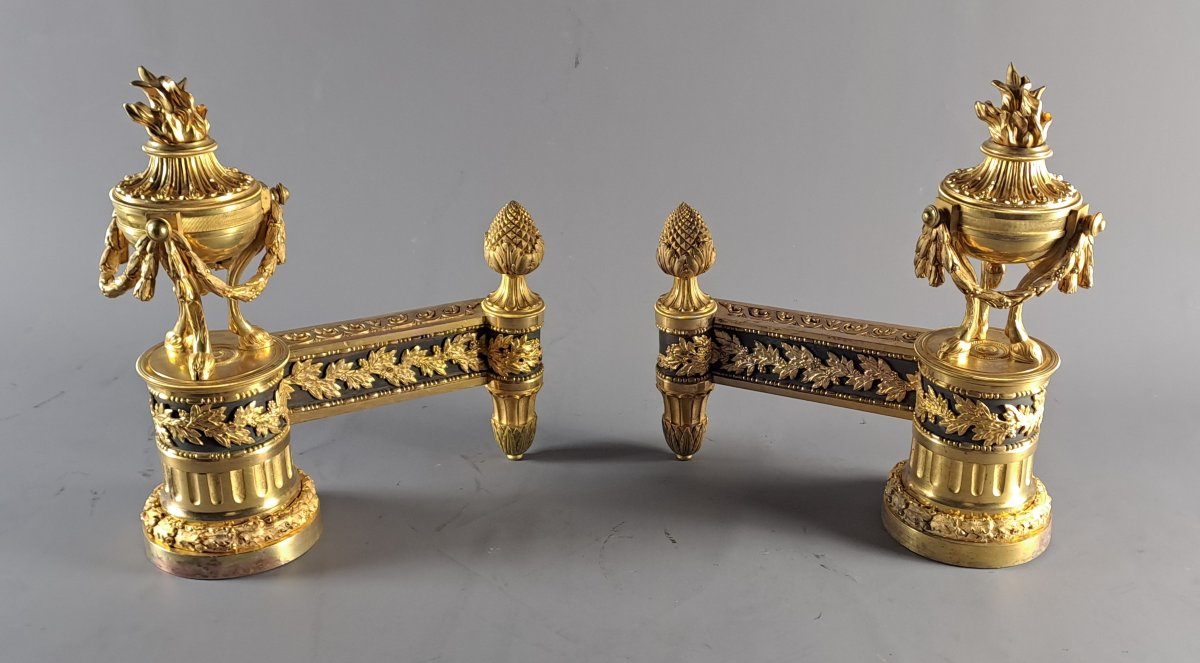 Pair Of Louis XVI Ormolu And Patinated Andirons-photo-3
