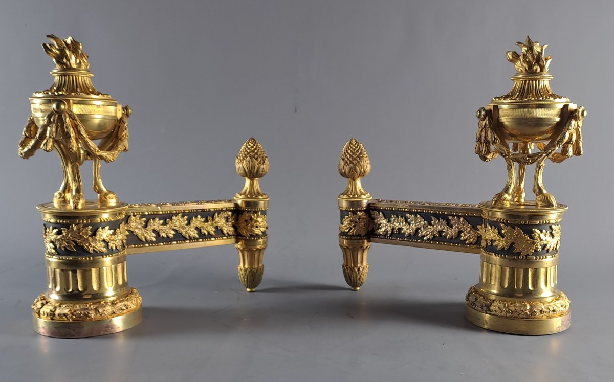 Pair Of Louis XVI Ormolu And Patinated Andirons-photo-4