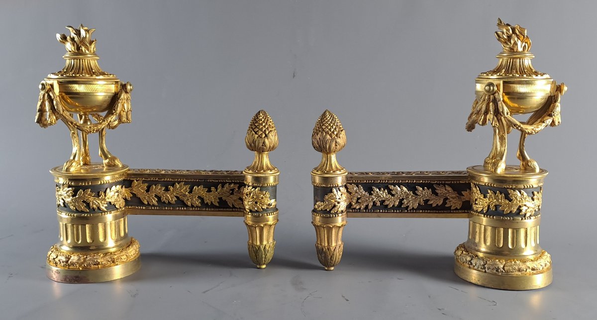 Pair Of Louis XVI Ormolu And Patinated Andirons-photo-1