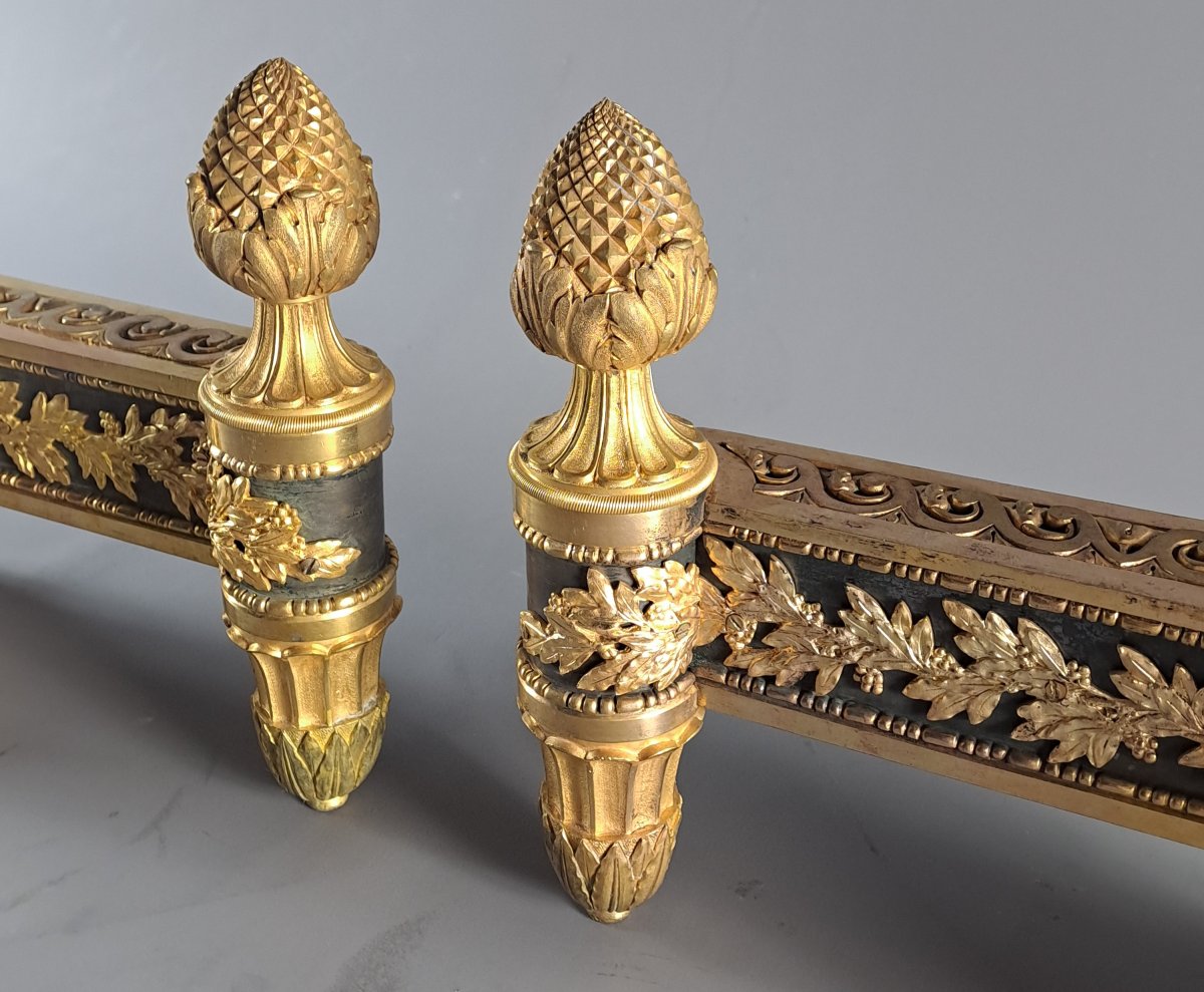 Pair Of Louis XVI Ormolu And Patinated Andirons-photo-4