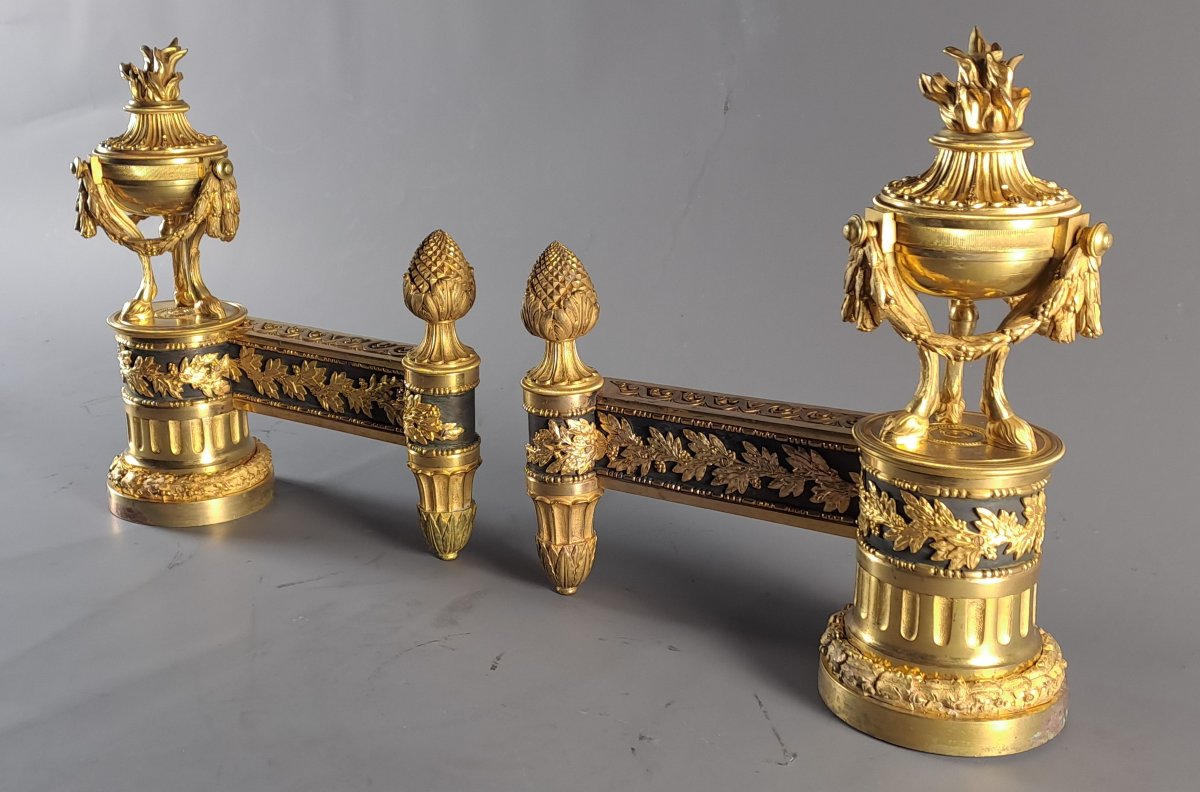 Pair Of Louis XVI Ormolu And Patinated Andirons-photo-6
