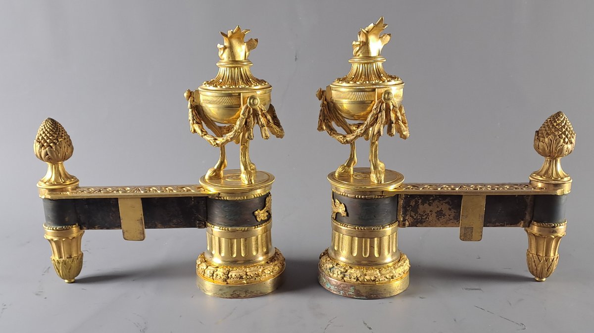 Pair Of Louis XVI Ormolu And Patinated Andirons-photo-7
