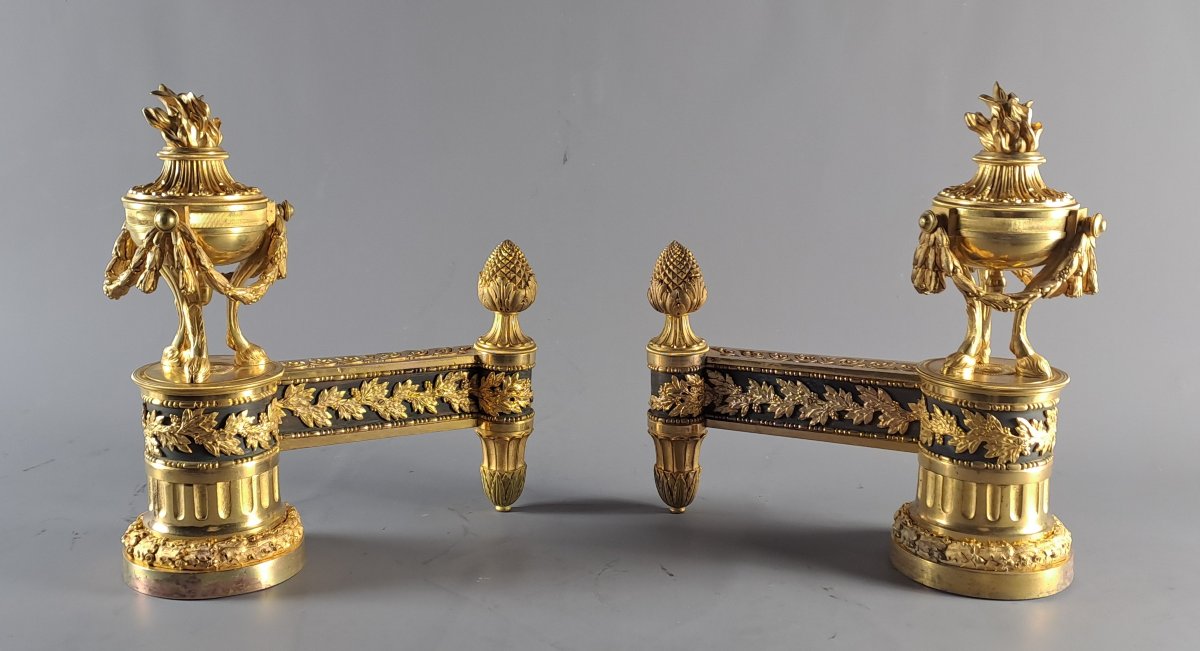 Pair Of Louis XVI Ormolu And Patinated Andirons
