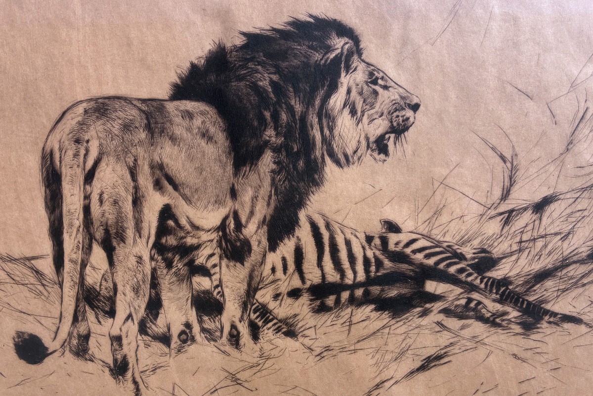 Wilhelm Friedrich Kuhnert Etching Lion And Zebra 1917-photo-3