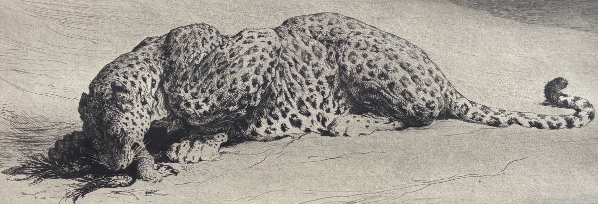 Herbert Thomas Dicksee, Etching With Leopard, 1920-photo-3