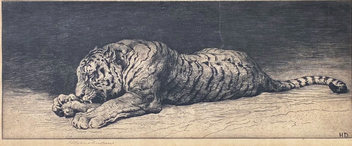 Herbert Thomas Dicksee, Etching With Tiger, 1920