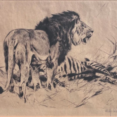 Premiere-Image-1725782