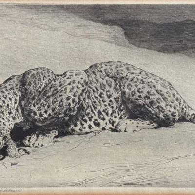 Premiere-Image-1725824