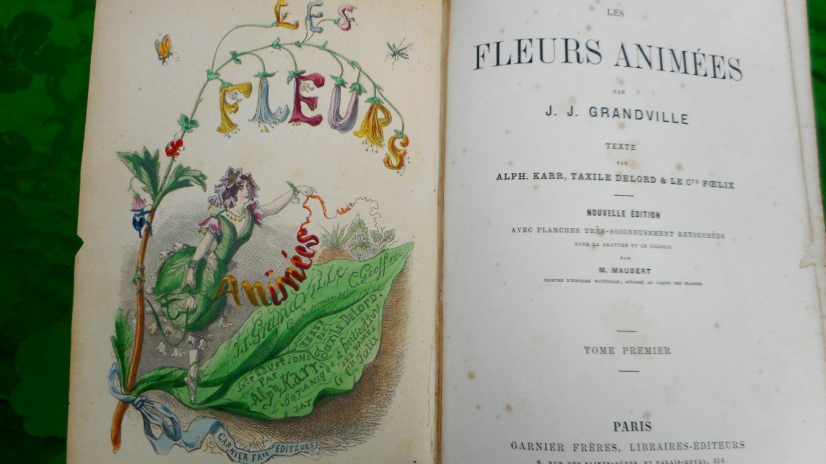 Flowers Animated By Grandville (1867)-photo-2