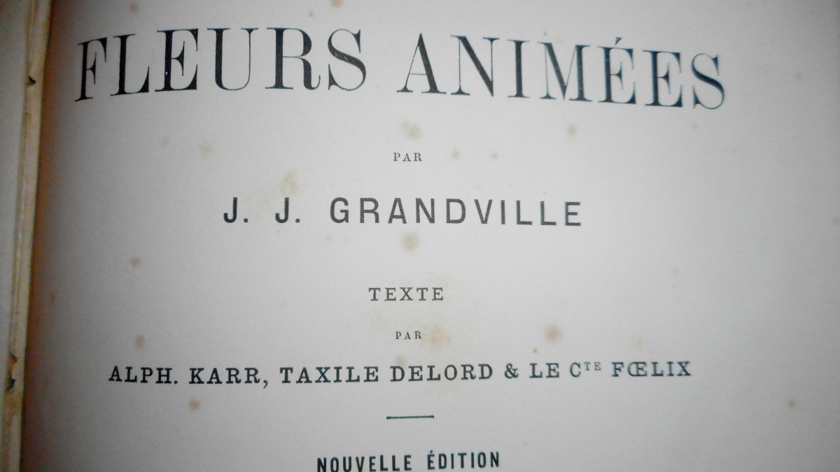 Flowers Animated By Grandville (1867)-photo-2