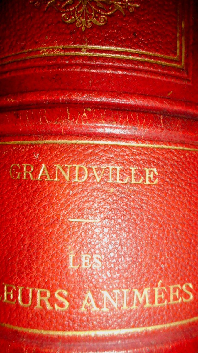 Flowers Animated By Grandville (1867)