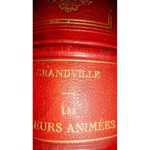 Les Fleurs Animées Par Grandville (1867)