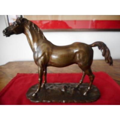 Cheval Bronze 19eme