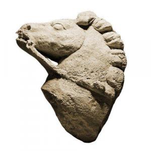 Gallo-roman Horse Head