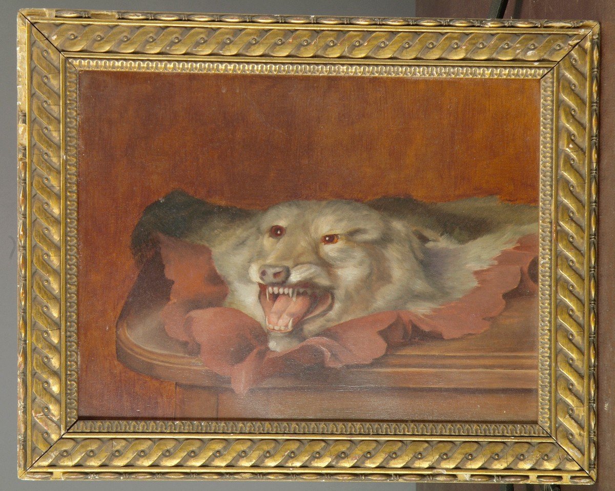 Wolf Head And Skin