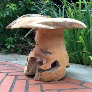 Charming Mushroom