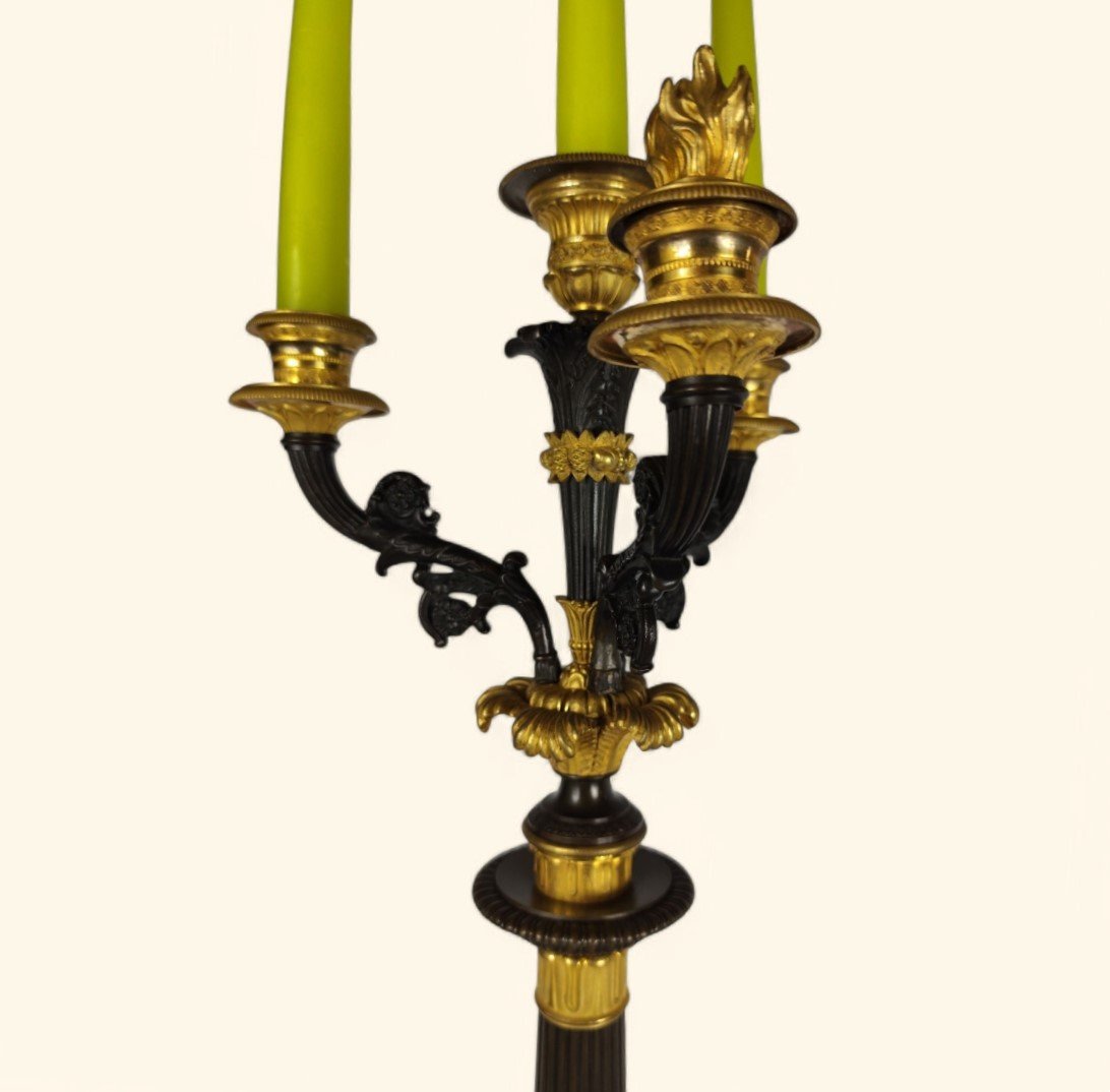 Large Pair Of Gilt Bronze Candlabras - French Restoration Period (1815-1830)-photo-1