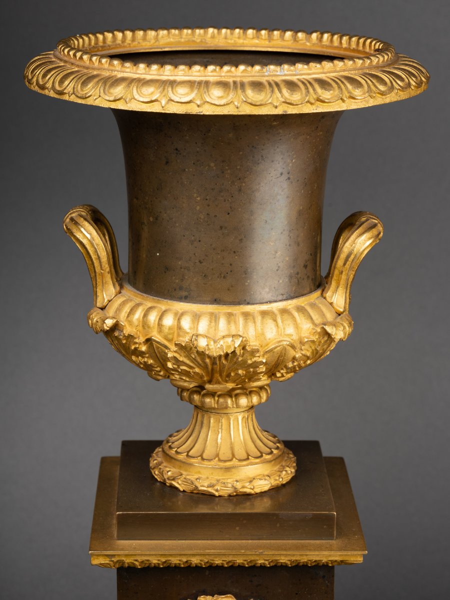 Pair Of Medici Vases On Plinths, Early 19th Century-photo-3