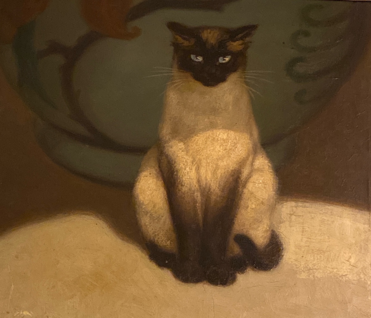 galerie-fauna-et-flora-diapo-2