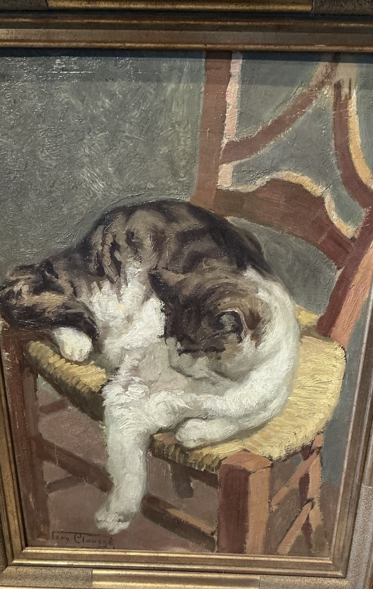 galerie-fauna-et-flora-diapo-2