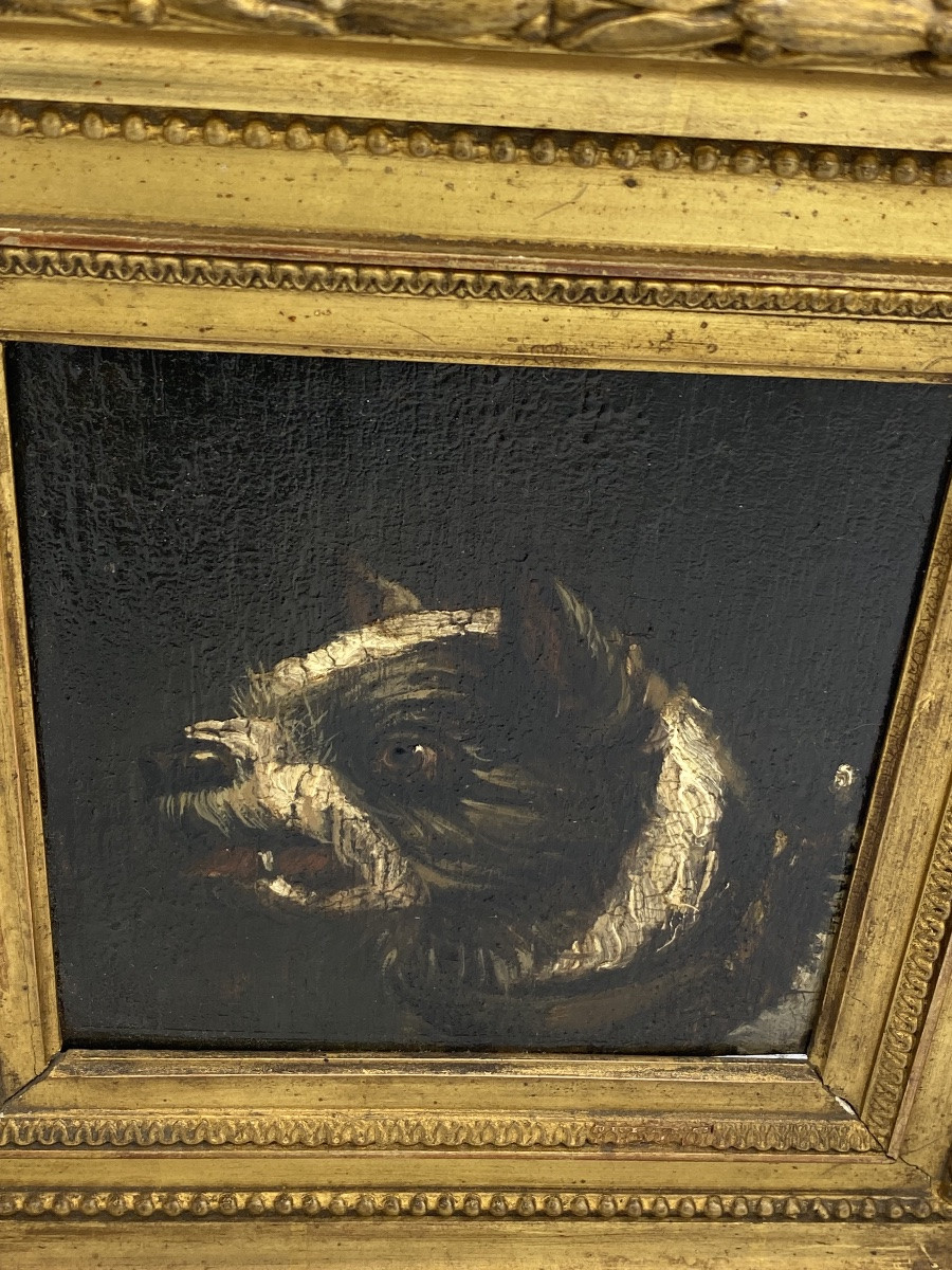 Peinture à l huile représentant un chien ,19 siècle -photo-3