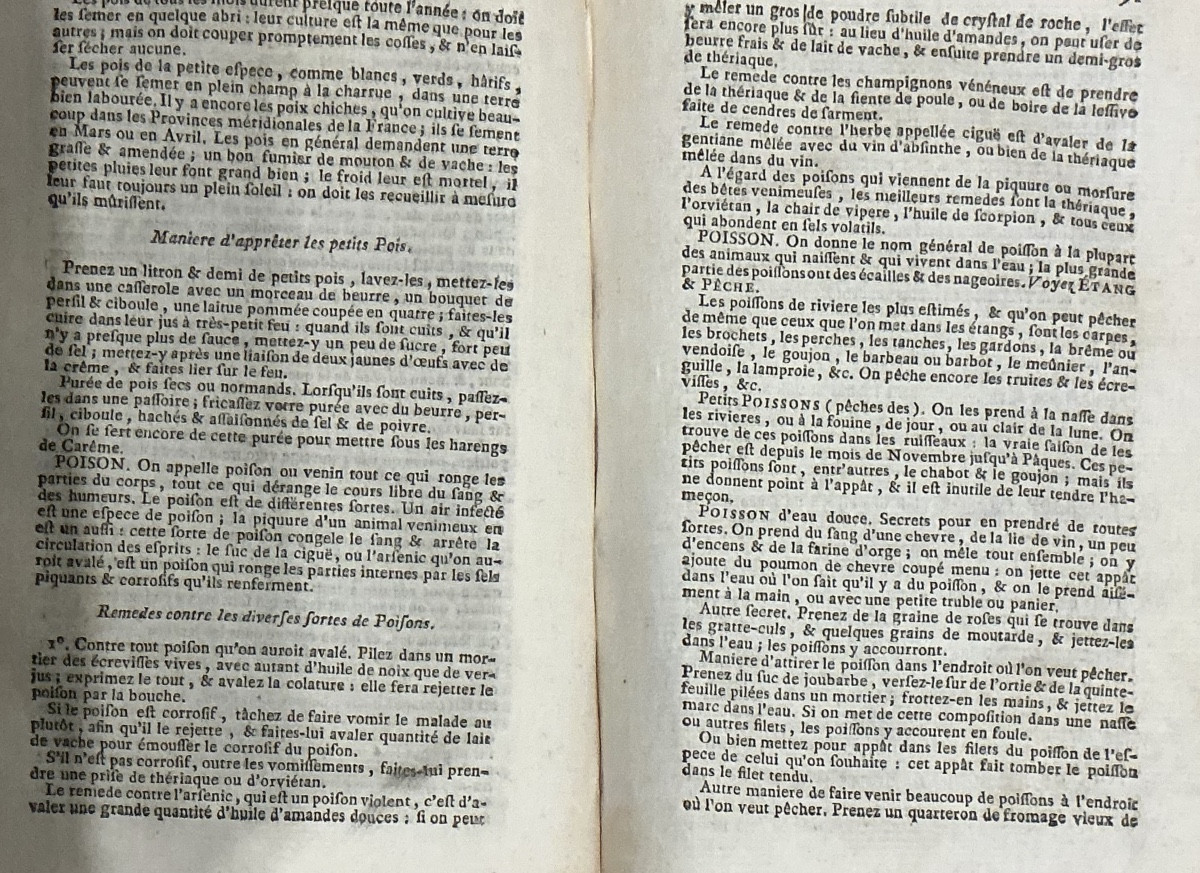 Pair Of 18th-century Books: L’agronome, Or Portable Dictionary For The Cultivator.-photo-4