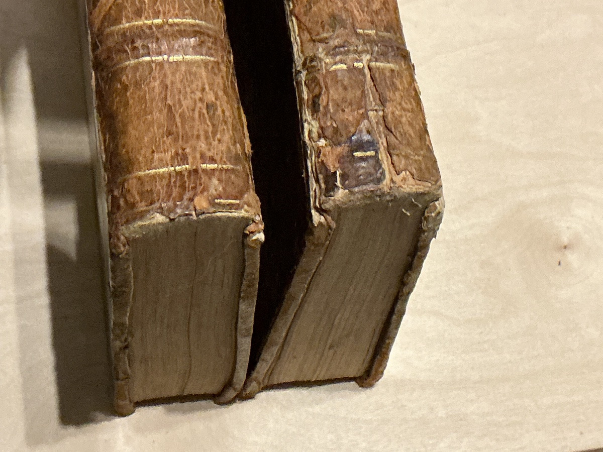 Pair Of 18th-century Books: L’agronome, Or Portable Dictionary For The Cultivator.-photo-1