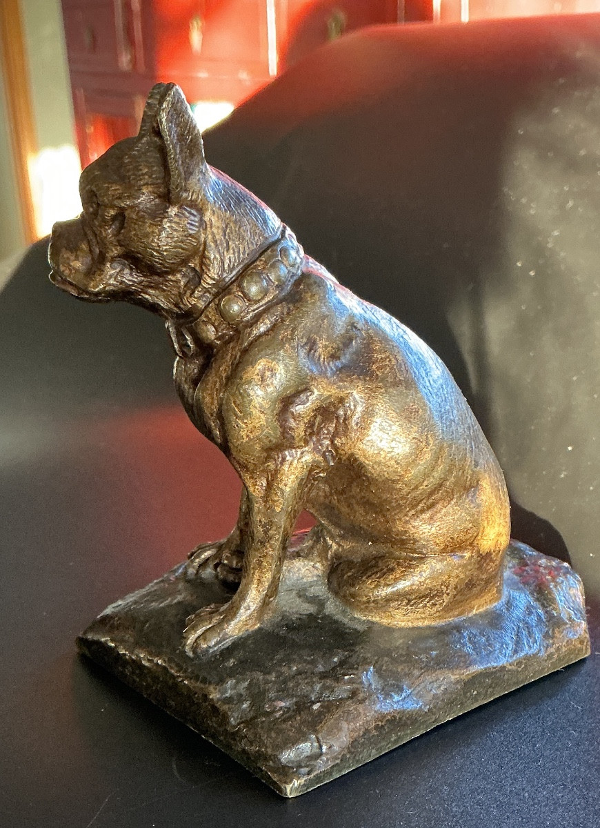 Chien en bronze  , représentant un bouledogue français .-photo-2