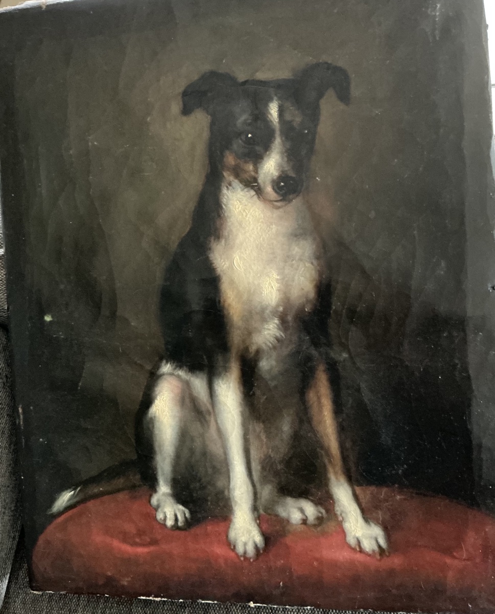 Painting  Of A Dog 19-20 Th Century 