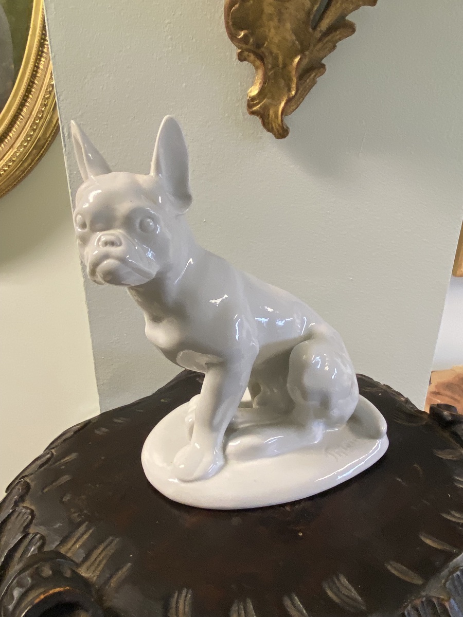 Bouledogue français en porcelaine blanche signé Thiem — Fraureuth, vers 1920-photo-3