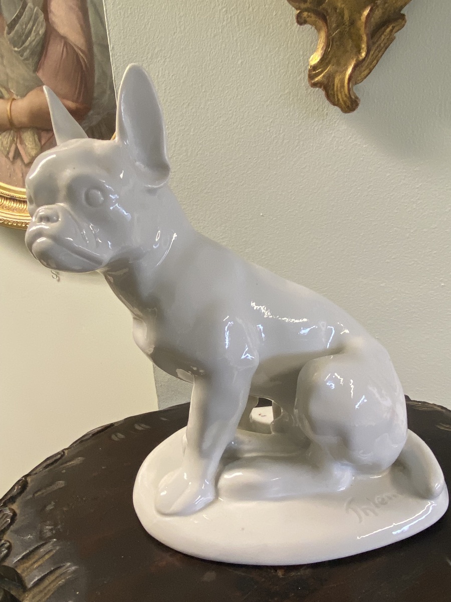 Bouledogue français en porcelaine blanche signé Thiem — Fraureuth, vers 1920