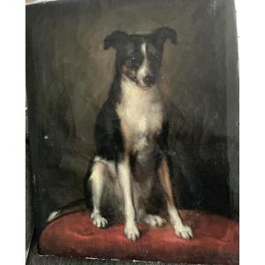 Painting Of A Dog 19-20 Th Century