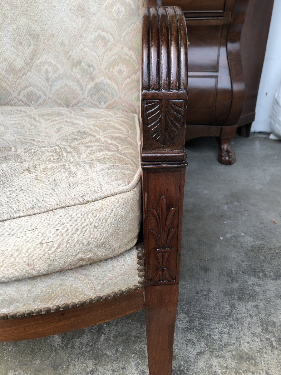Mahogany Bergere 19th Century Restoration Period-photo-1