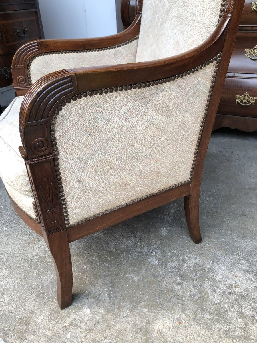 Mahogany Bergere 19th Century Restoration Period-photo-5