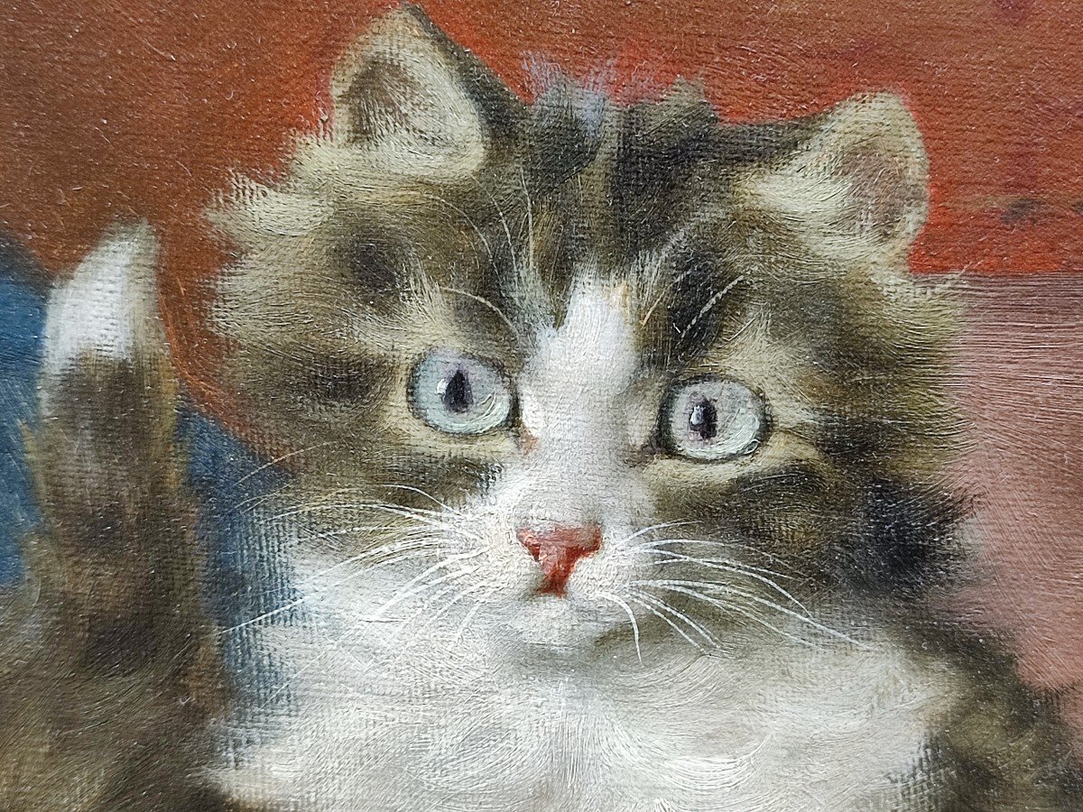 The Kittens. Daniel Merlin. Around 1900-photo-3