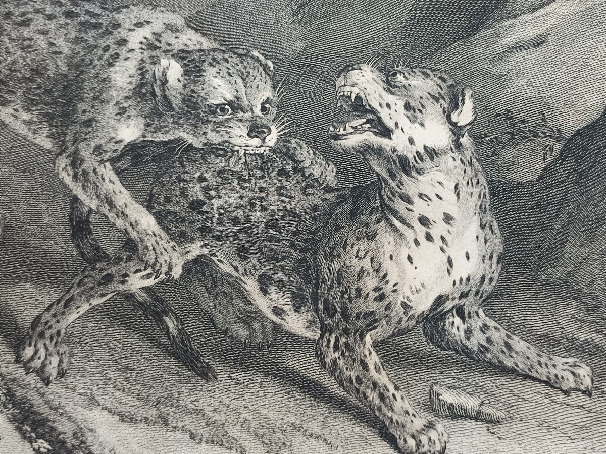 The Fierce Attack. 18th Century Engraving.-photo-2