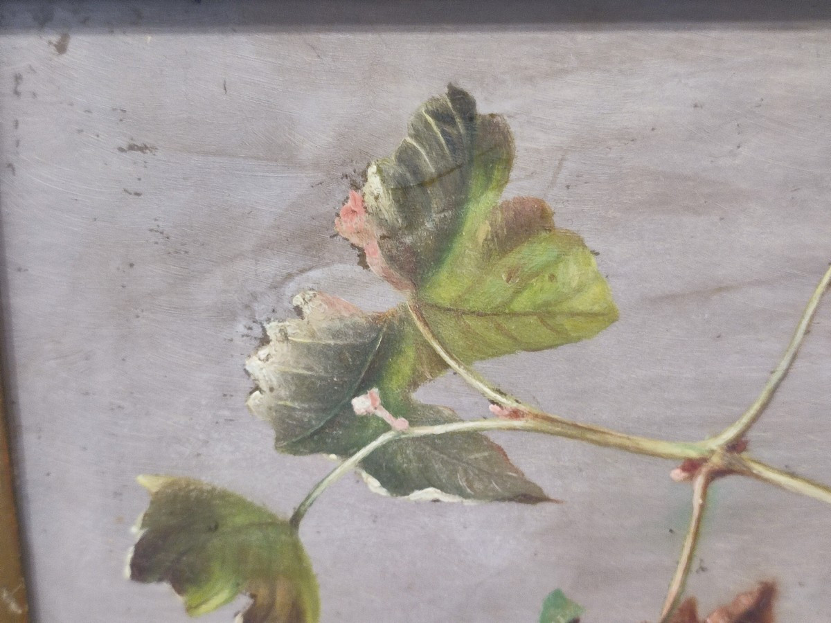 Nature morte aux raisins. Huile sur bois vers 1840-photo-3