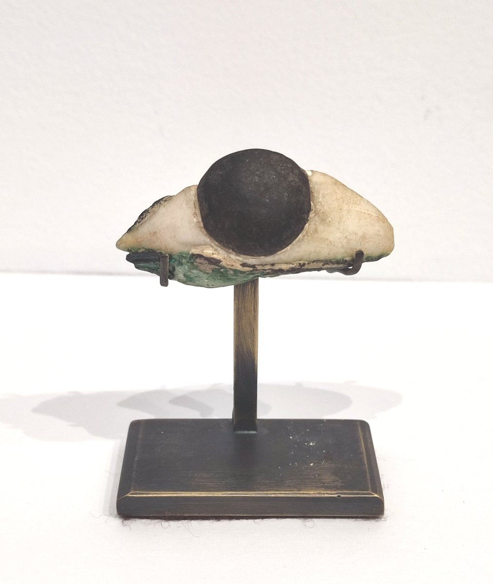 Stone Eye. Late Period Egypt -photo-4