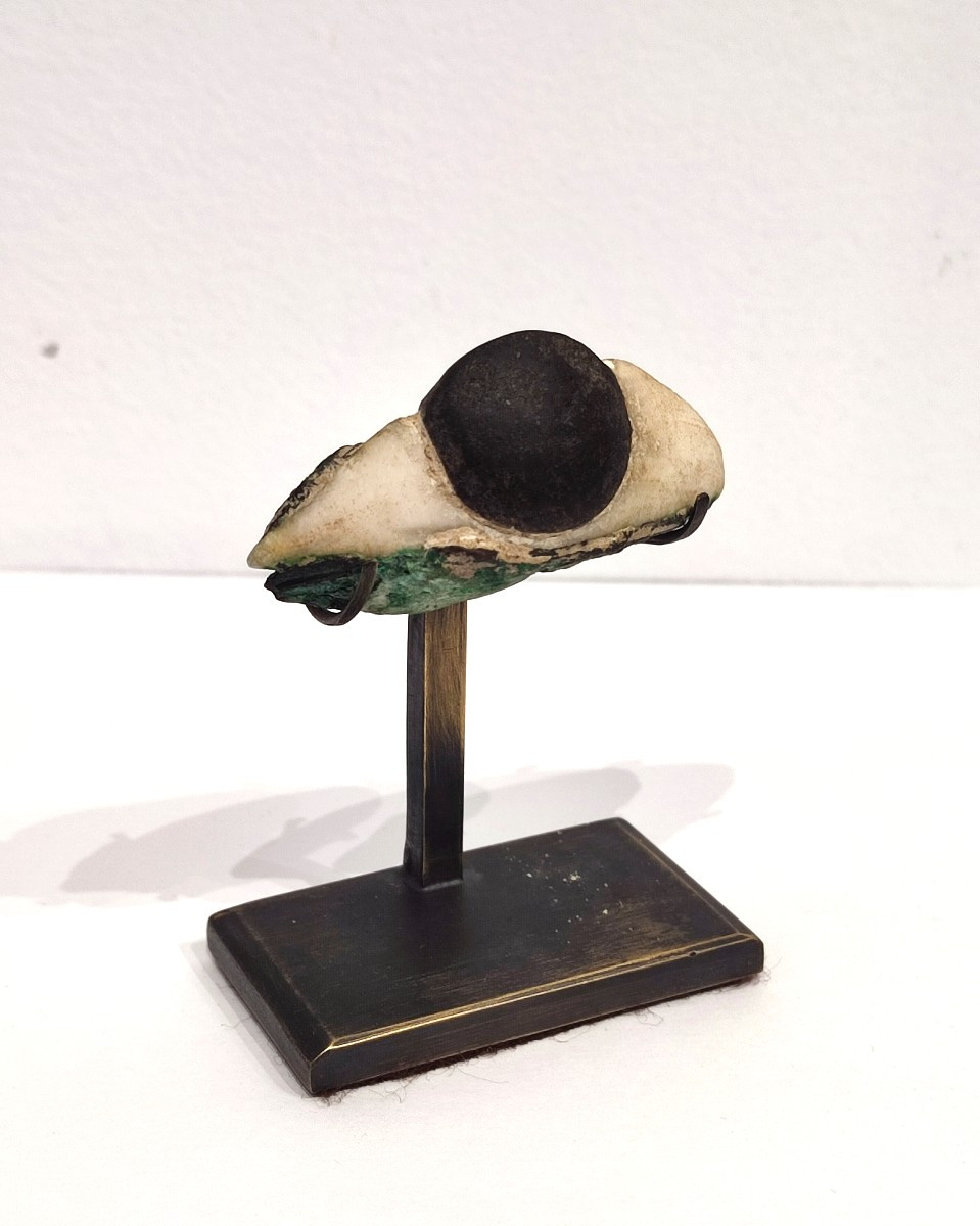 Stone Eye. Late Period Egypt 
