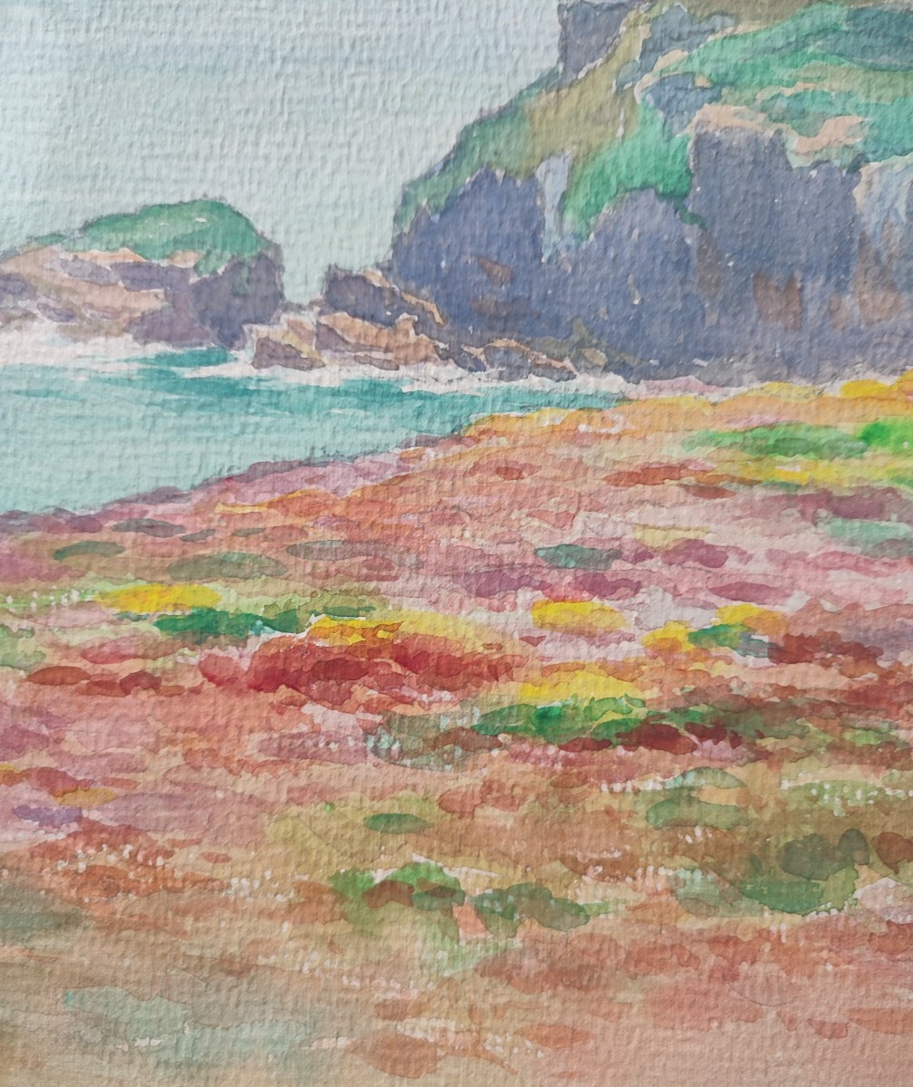 Leon Hamonet. Le Cap Fréhel. Circa 1900-photo-7