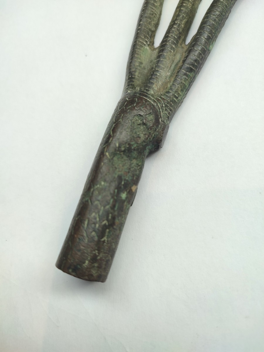 Patte d'Ibis, Egypte époque Saite, VII ème siècle avant J.C-photo-2