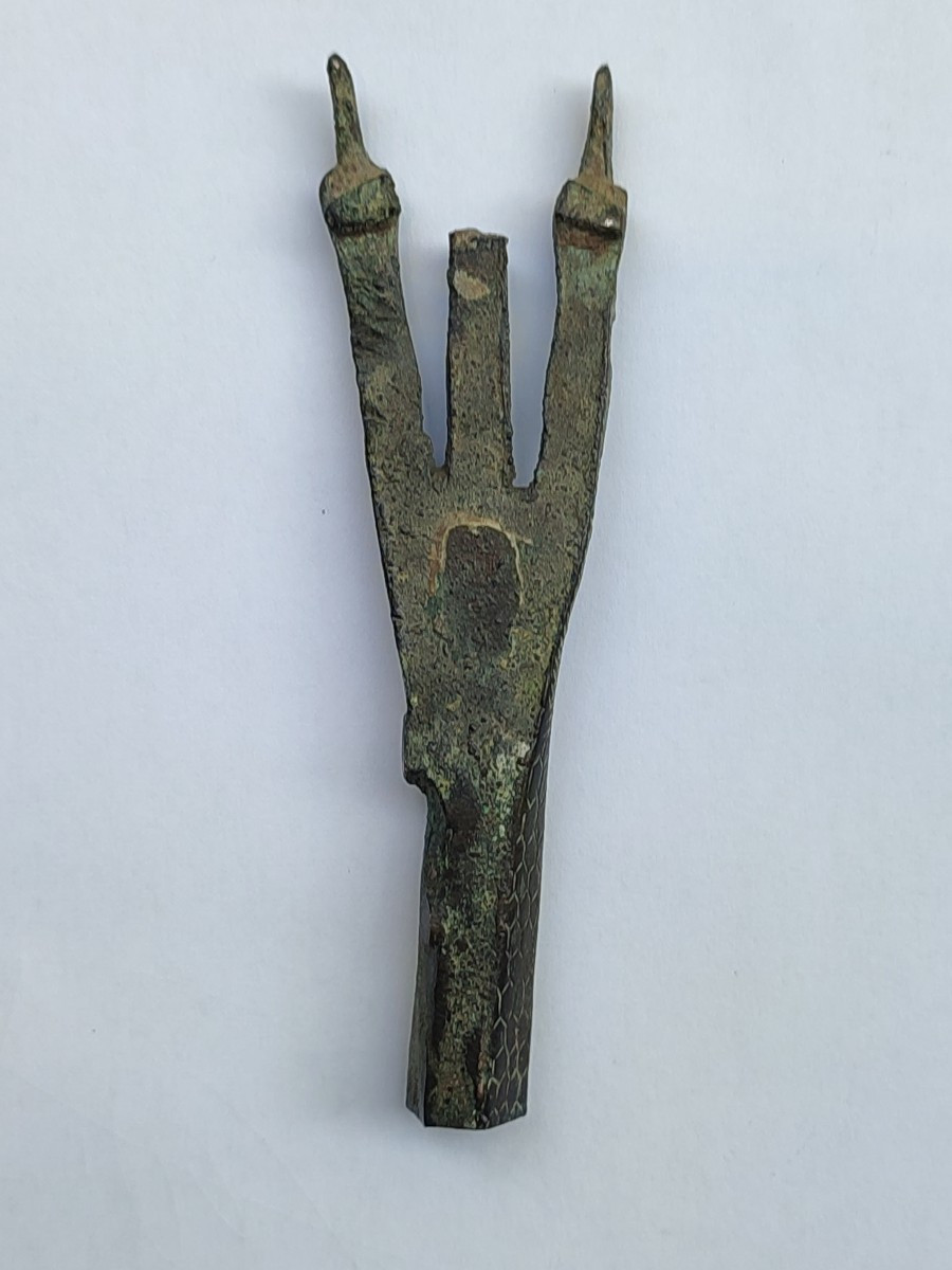 Patte d'Ibis, Egypte époque Saite, VII ème siècle avant J.C-photo-4