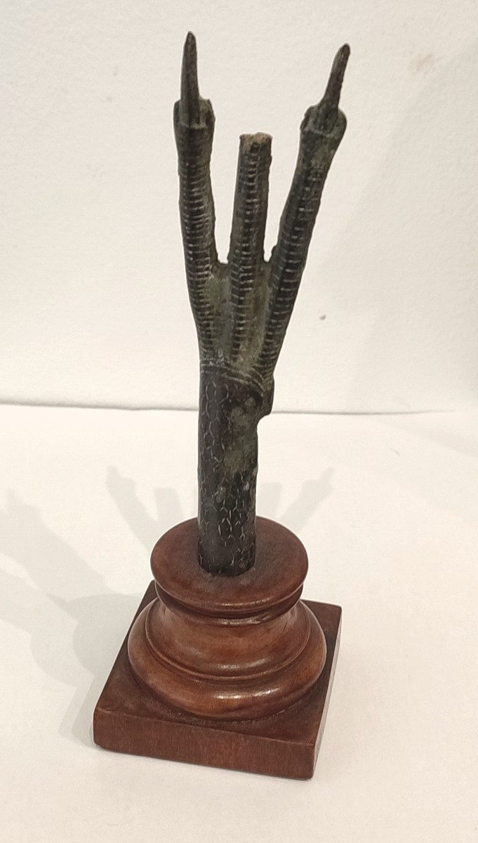 Patte d'Ibis, Egypte époque Saite, VII ème siècle avant J.C-photo-1