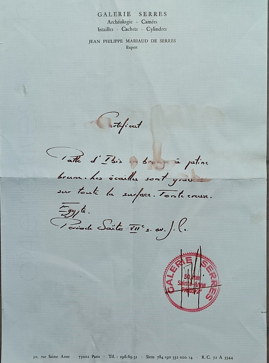 Patte d'Ibis, Egypte époque Saite, VII ème siècle avant J.C-photo-2