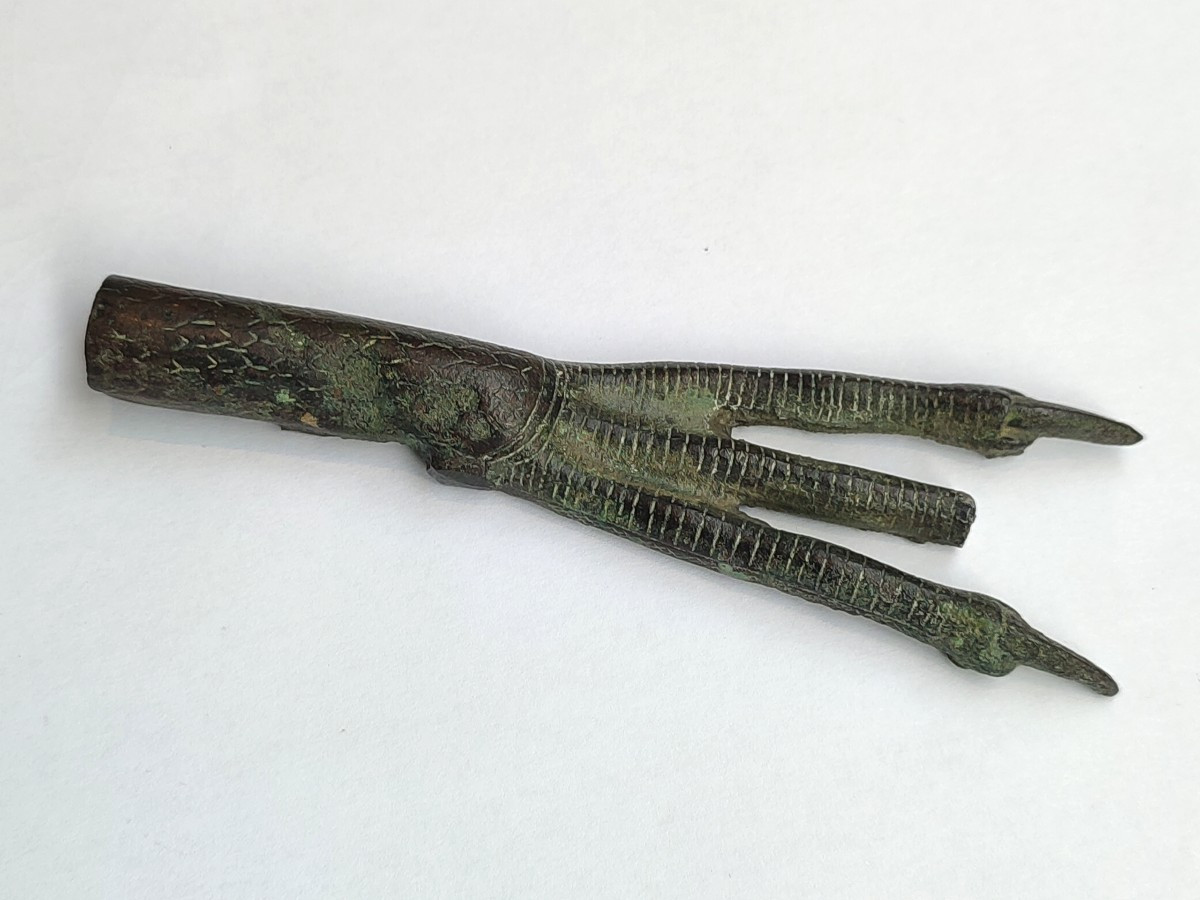 Patte d'Ibis, Egypte époque Saite, VII ème siècle avant J.C