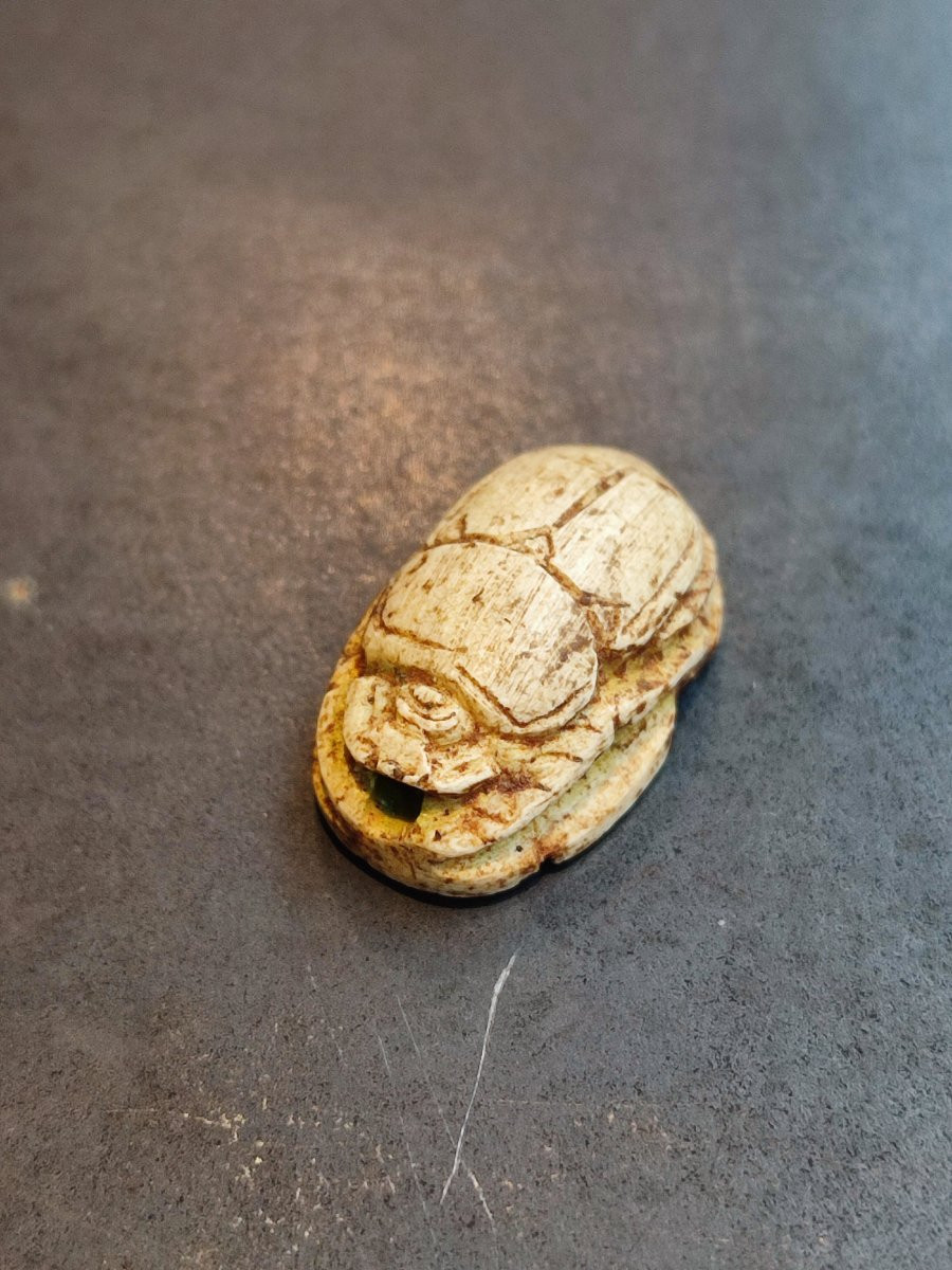 Scarabée en stéatite. Egypte de la basse époque -photo-4