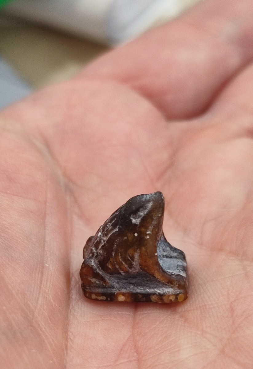 An Egyptian Frog Of The Low Period.-photo-2