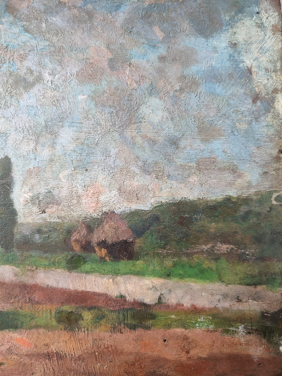 A Painter's Garden. Louis Alexandre Bouché-photo-1