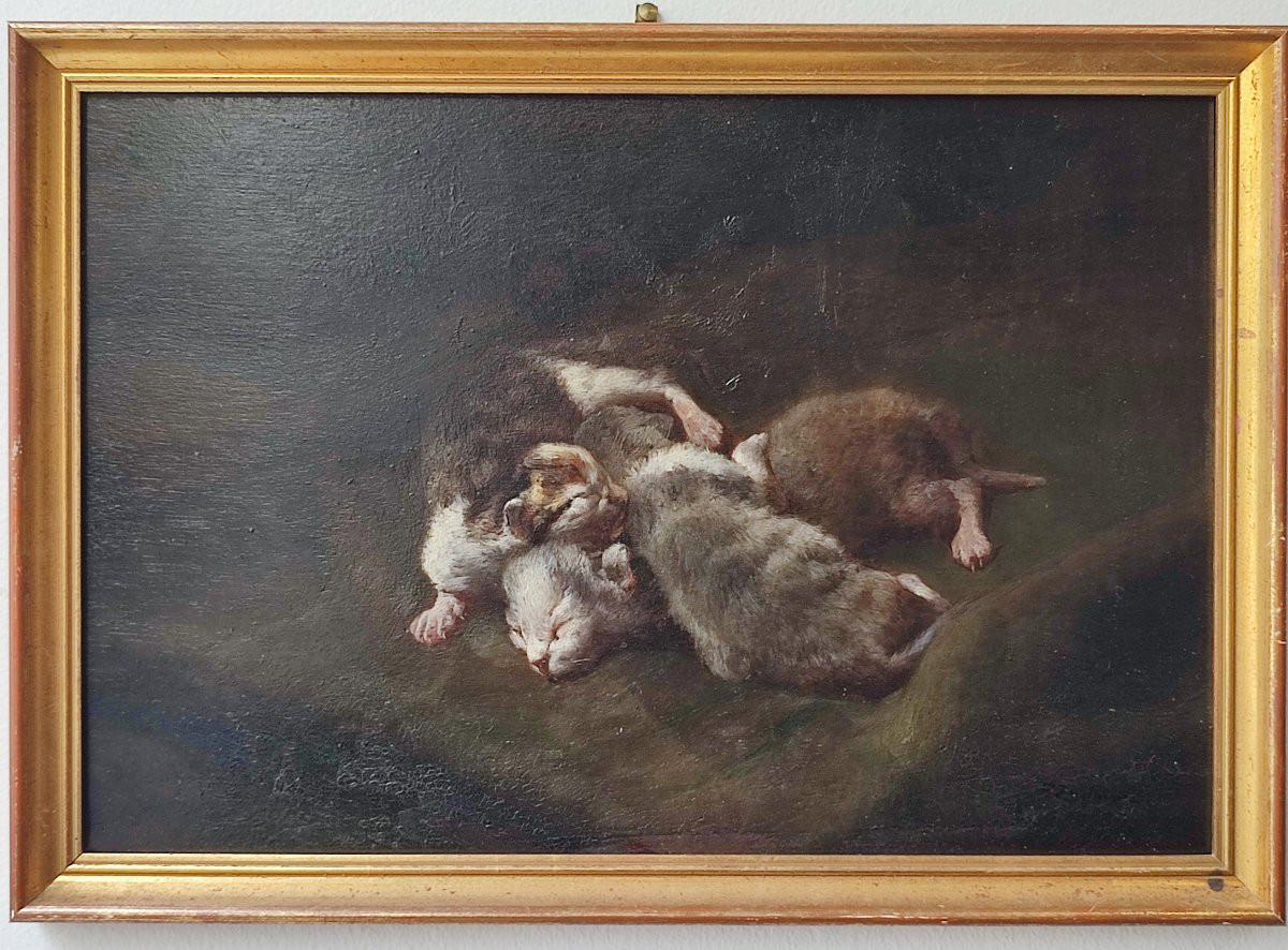 Les chatons. Philippe Zacharie vers 1900.-photo-2